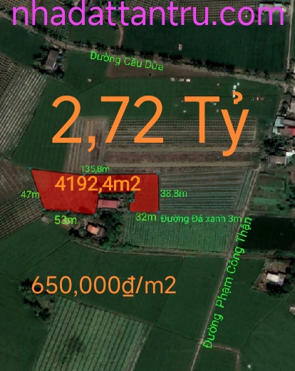 Bán gấp lô đất lúa chuyển thổ không dính quy hoạch giá 2,72 tỷ