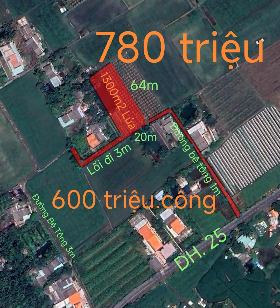 Bán lô lúa Tân Trụ không dính quy hoạch giá 780triệu.