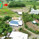 800m2 - 6