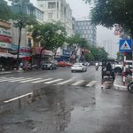  250m2