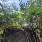 70m2 - 5