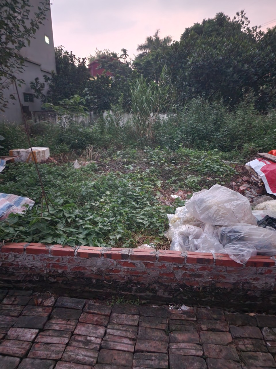 MẶT PHỐ PHÚC LỢI - PHỐ VIP LONG BIÊN - Ô TÔ - KINH DOANH DT50m - 3 tỷ.