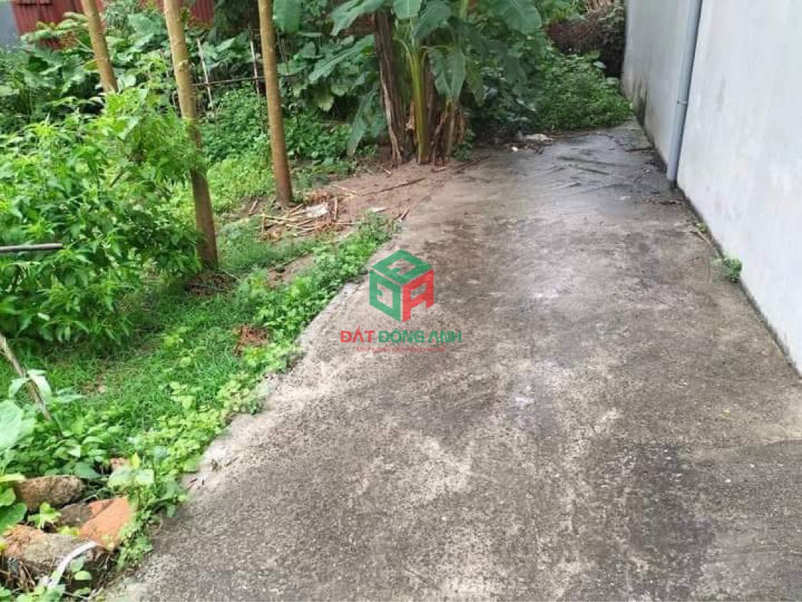 Bán đất thôn đông Việt Hùng Đông Anh – 60m2 – Nhỉnh tỷ.