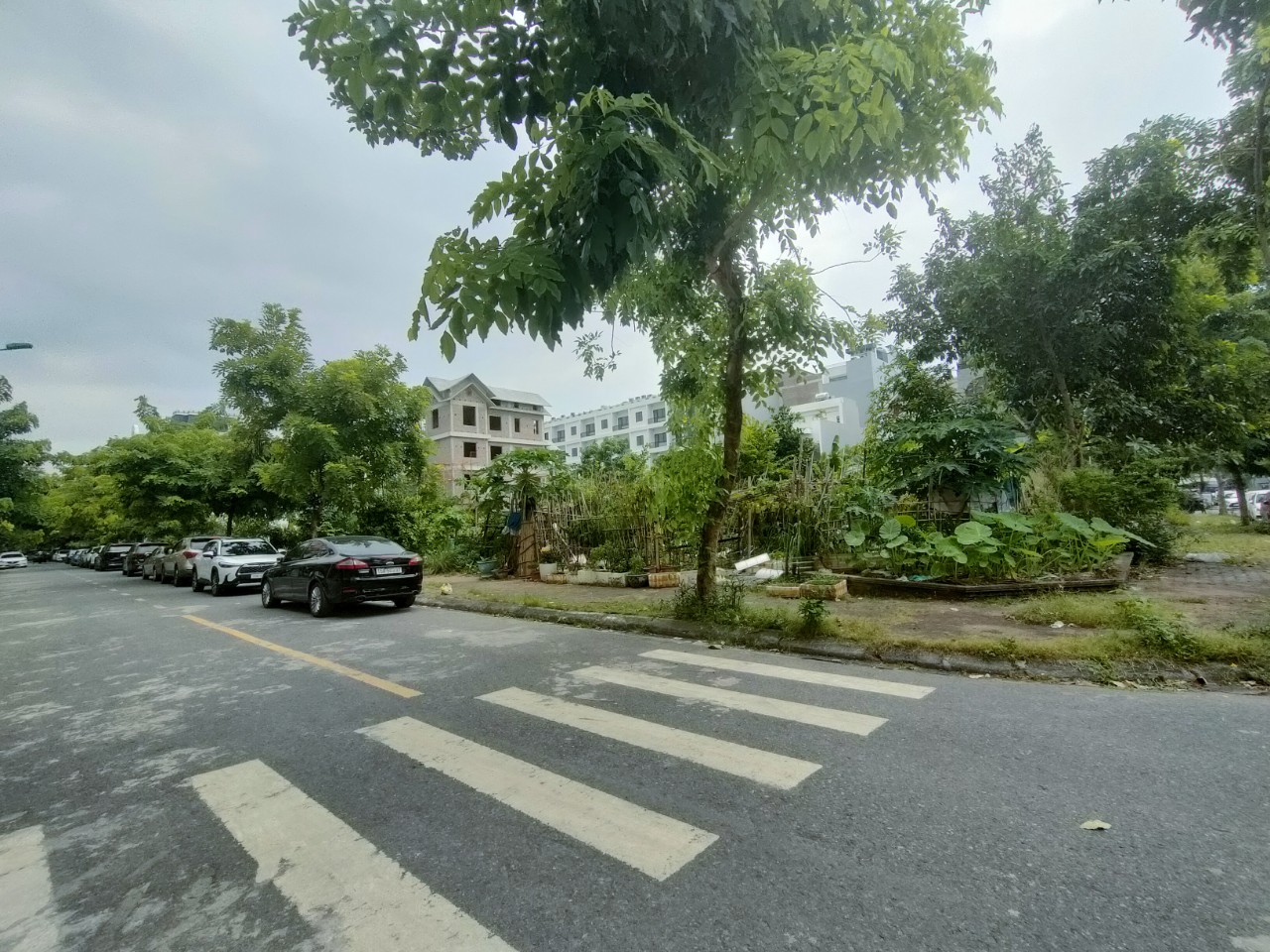 Bán lô đất biệt thự trung tâm ICC Lạch Tray diện tích 217M ngang 10.