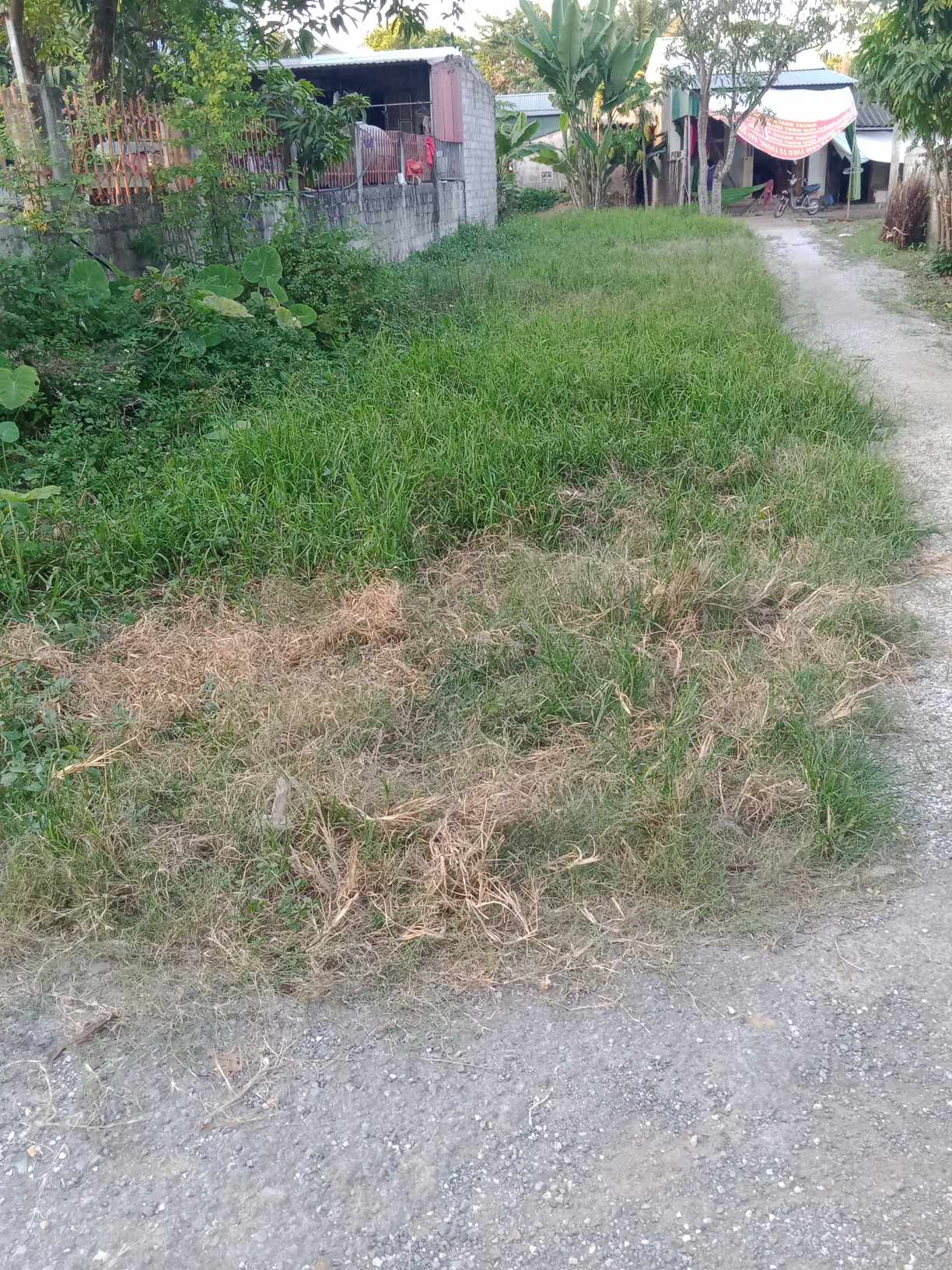 CẦN BÁN LÔ ĐẤT KHU PHỐ 6, ĐƯỜNG BÙI XƯƠNG TRẠCH - P. PHÚ SƠN - BỈM SƠN - THANH HÓA.