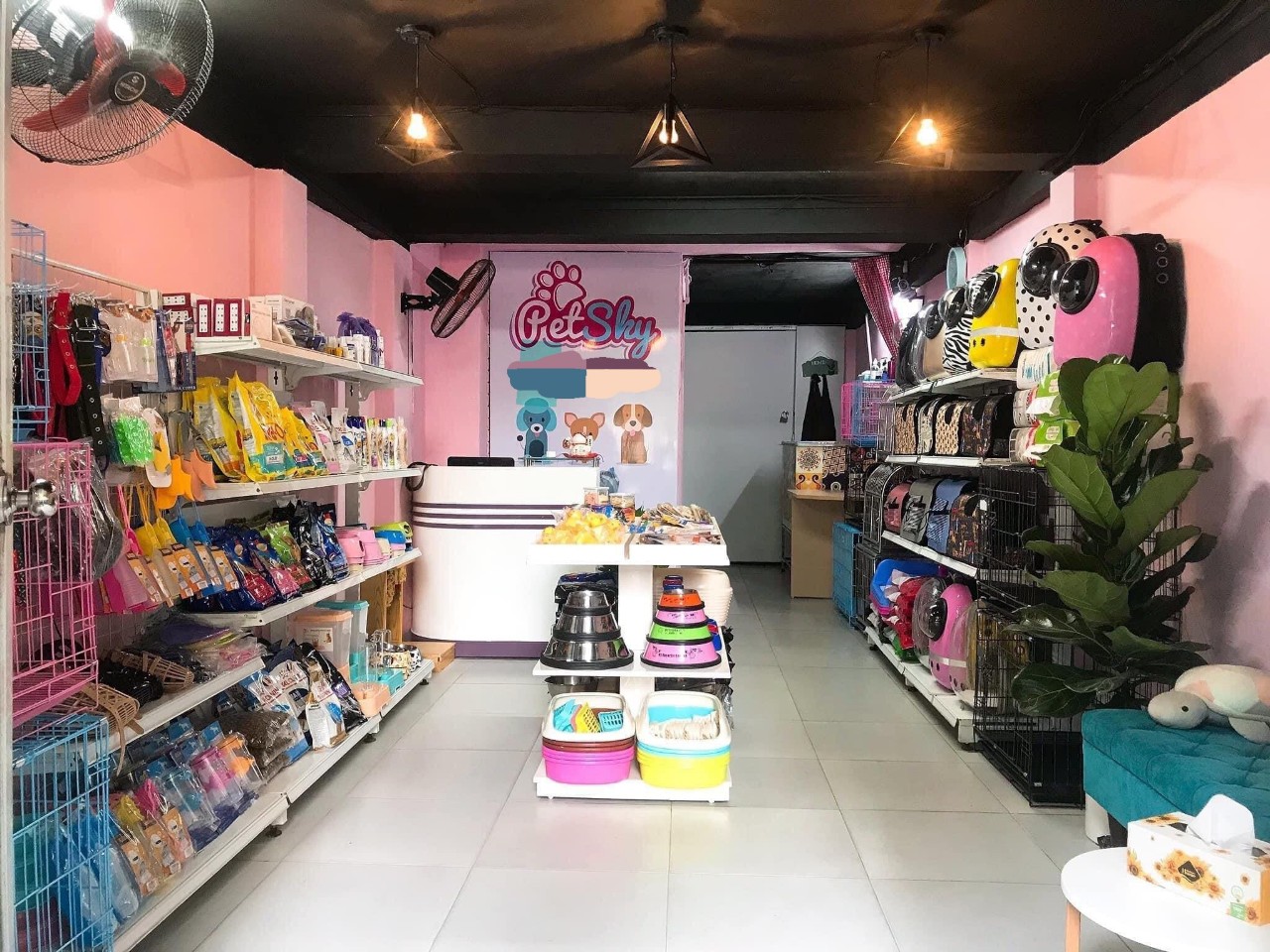 HOA HẬU PHỐ QUANG TRUNG, VỈA HÈ RỘNG, Ô TÔ, KINH DOANH, DT 37M GIÁ NHỈNH 8 TỶ.