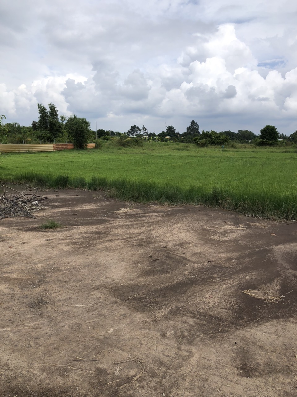 CHÍNH CHỦ BÁN ĐẤT MẶT TIỀN ĐƯỜNG TRÌNH THỊ GẮT - HUYỆN CỦ CHI - TP. HỒ CHÍ MINH.