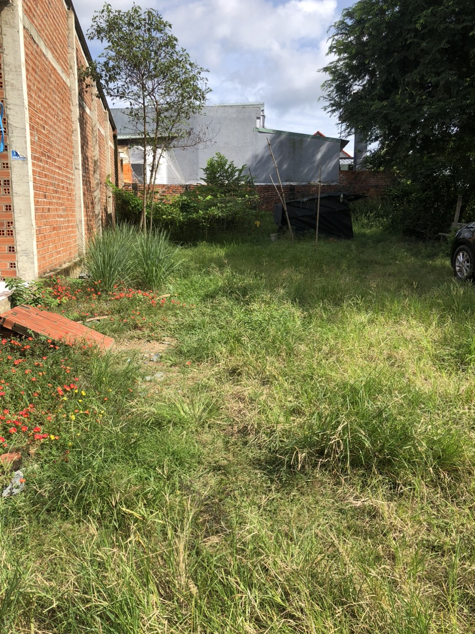 CHÍNH CHỦ BÁN ĐẤT PHƯỜNG AN HOÀ – THỊ XÃ TRẢNG BÀNG – TỈNH TÂY NINH.