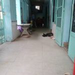  80m2 - 3