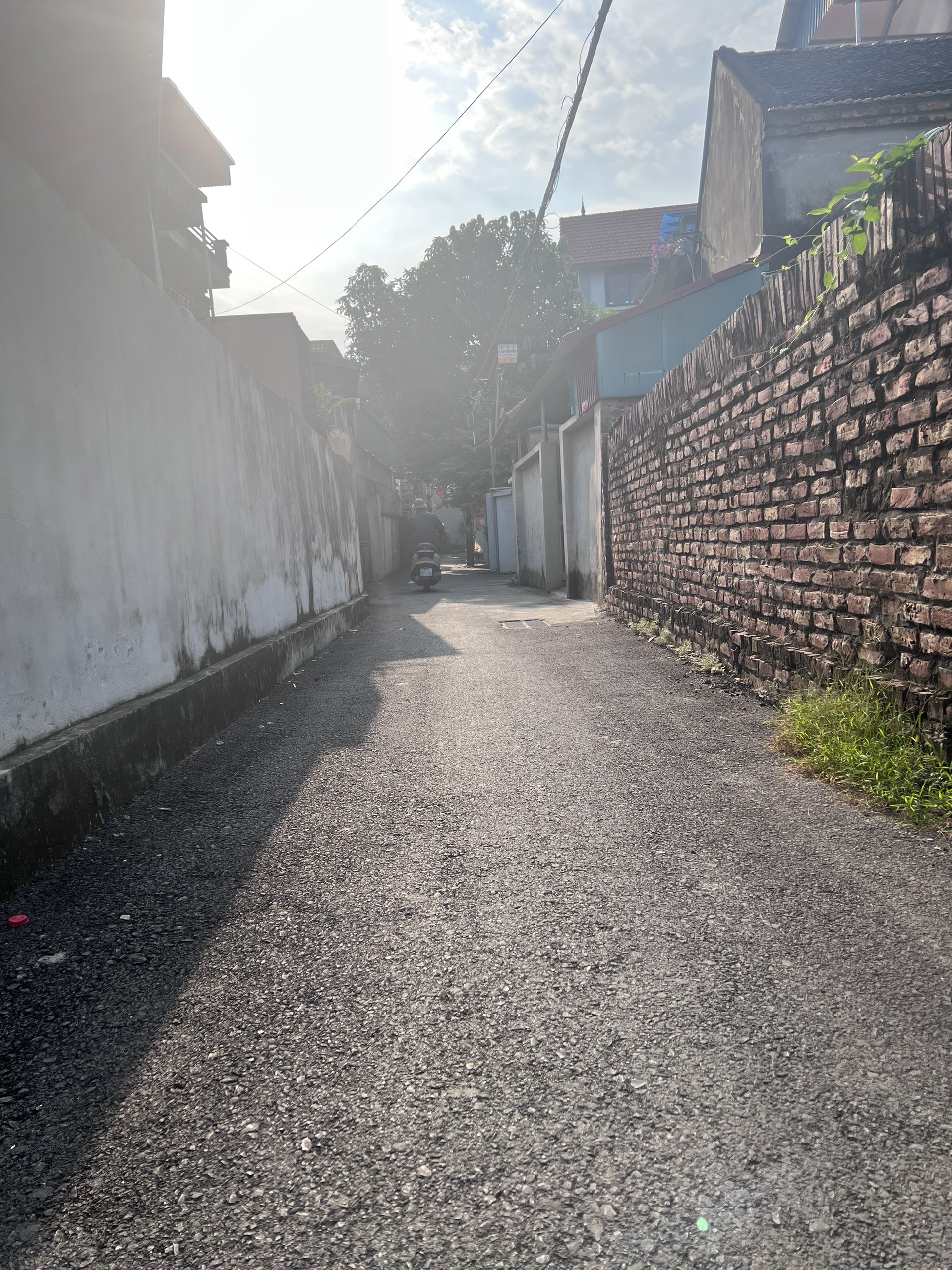 Bán 60m Kiêu Kỵ Gia Lâm, đường oto, giá 35tr/m