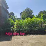 200m2 - 4