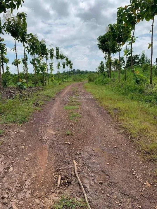 Bán rẻ 500 triệu chỉ còn 400 triệu, rẻ hơn 1 nửa, Xã Ea Wer, Buôn Đôn, Đắk Lắk.