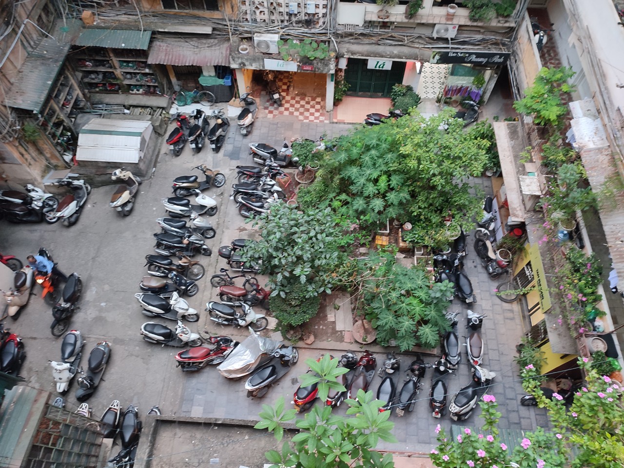 Dưới 3 Tỷ Con Học Trường Trưng Vương - Bệnh Viện Việt Đức & 108 Ngay Cạnh - Chạy Bộ Hồ Gươm Mỗi Sáng.