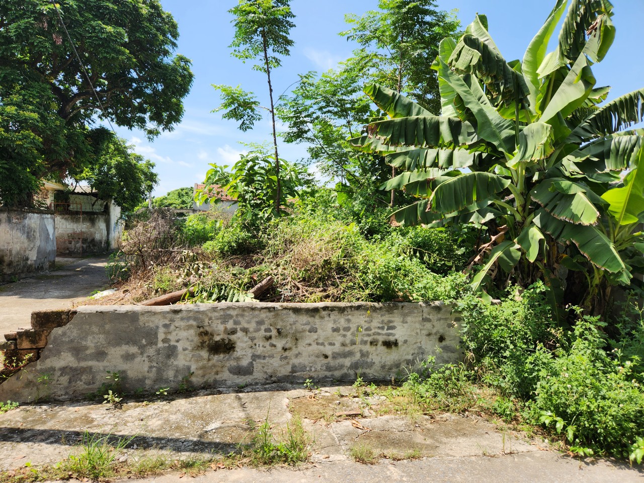 BÁN GẤP! ĐẤT LÔ GÓC NGAY GẦN NGÃ TƯ MIỄU, Ô TÔ 7 CHỖ, 85.5M x MT 5M GIÁ NHỈNH 2 TỶ.