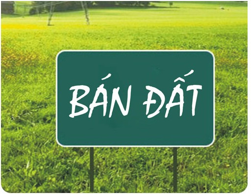 + CHÍNH CHỦ CẦN BÁN LÔ ĐẤT Ở XÃ MINH ĐỨC, HUYỆN VIỆT YÊN, TỈNH BẮC GIANG - LIÊN HỆ: 0966586258