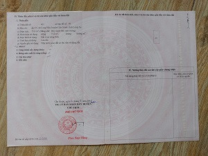 Chính chủ cần bán 596m2 đất 2 mặt tiền,vị trí đẹp, FULL thổ cư huyện Cần Giuộc, Long An