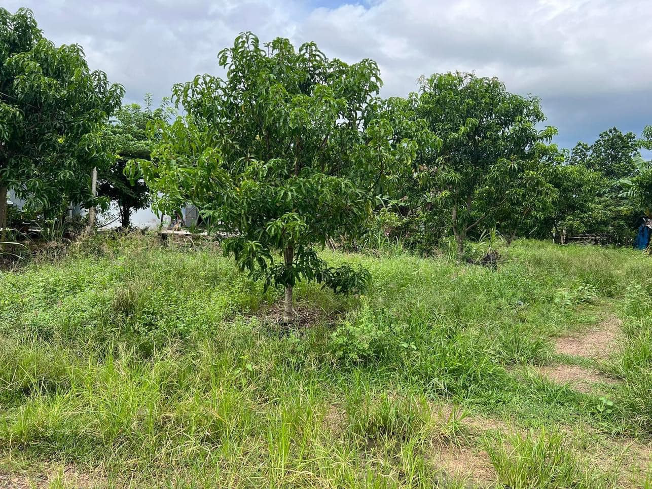 ^...^ CHÍNH CHỦ CẦN BÁN LÔ ĐẤT XÃ NINH TÂN - THỊ XÃ NINH HÒA - TỈNH KHÁNH HÒA