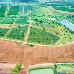  300m2 - 3