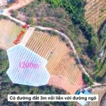 1200m2 - 5