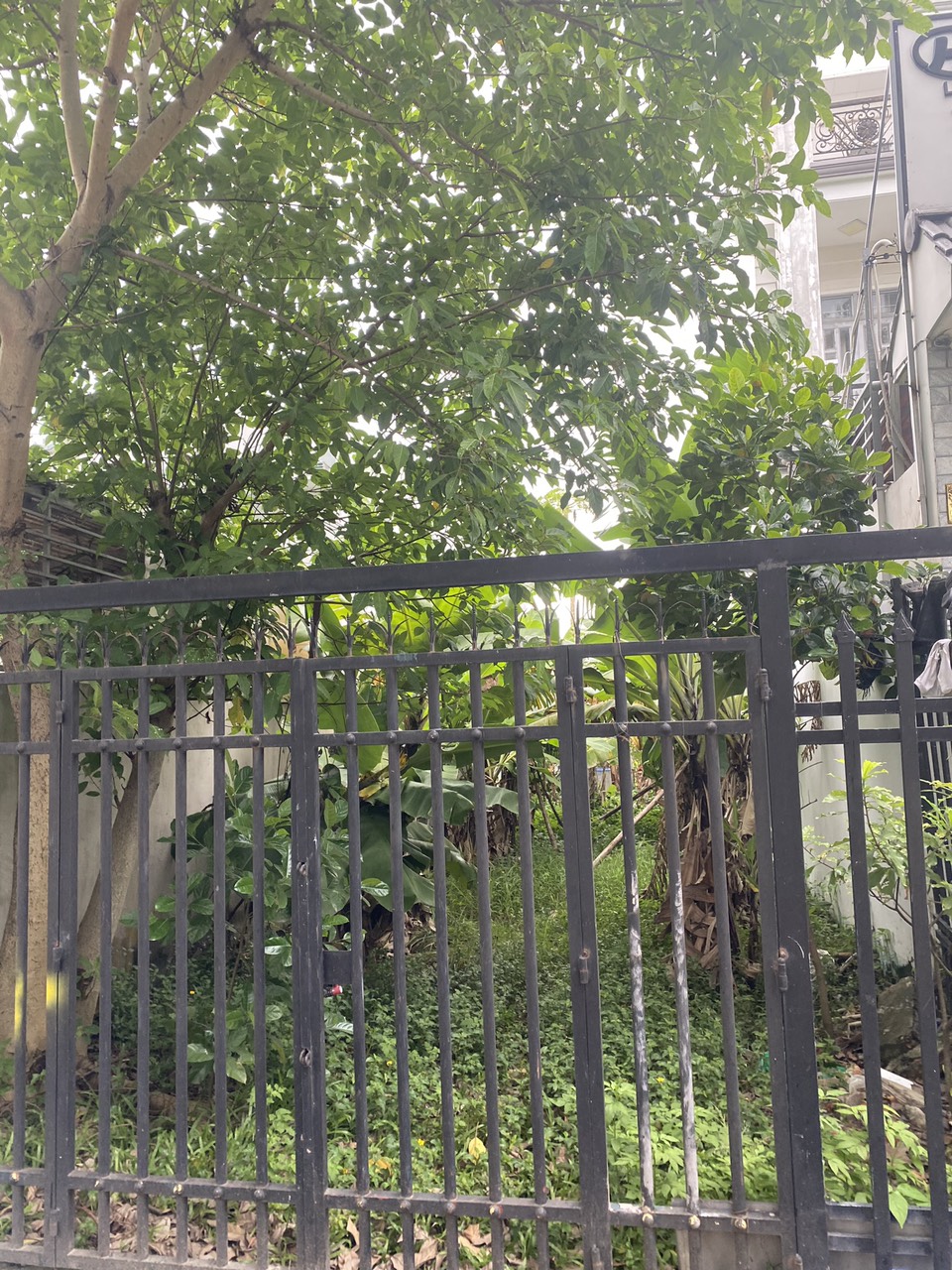 Chính chủ cần tiền bán gấp lô đất mặt tiền sông Ông Đụng, Q.12