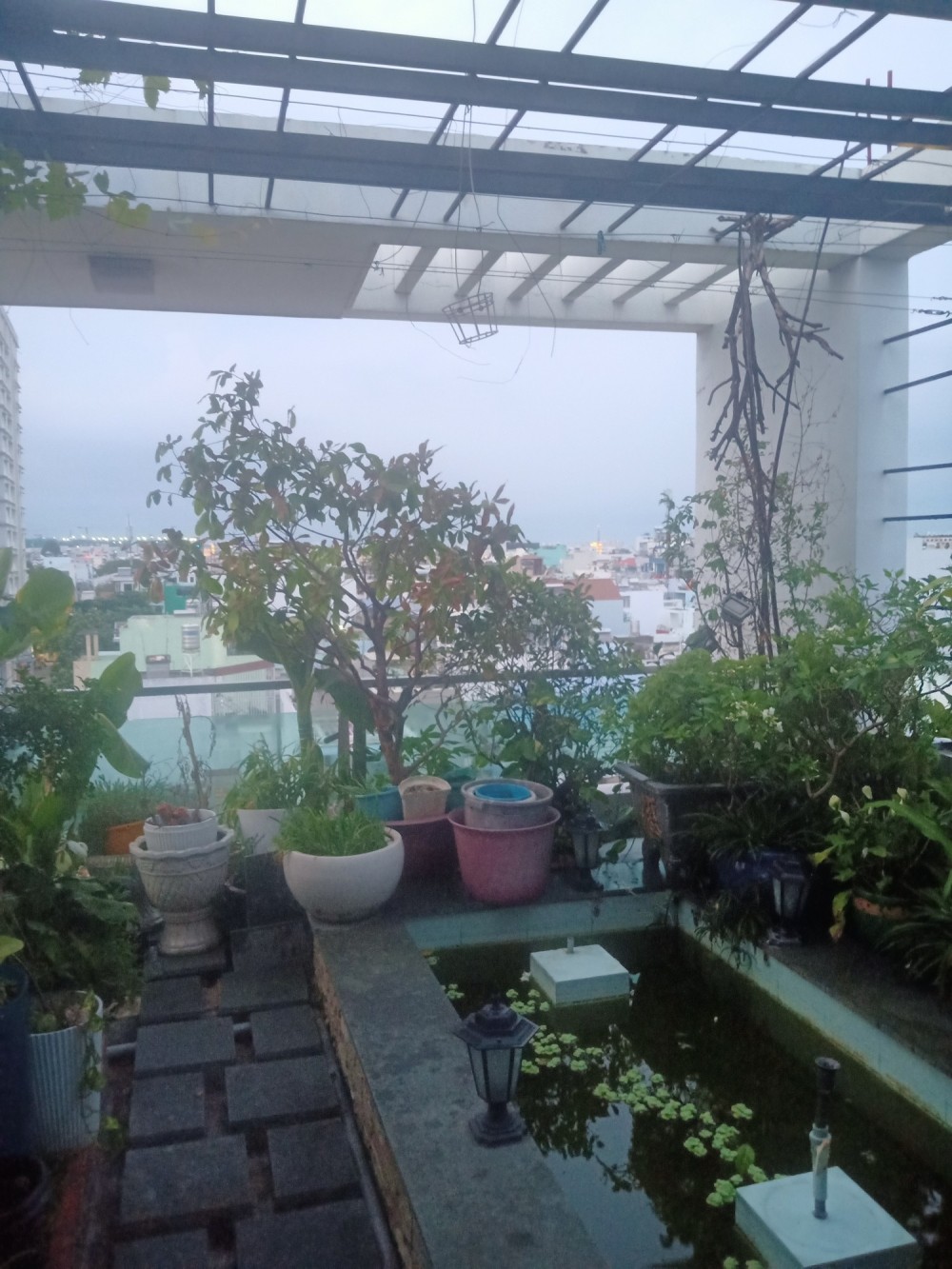 Bán Nhà Mặt Tiền Kinh Doanh Lê Thúc Hoạch, Tân Phú, 7 Tầng, Chỉ 10 Tỷ