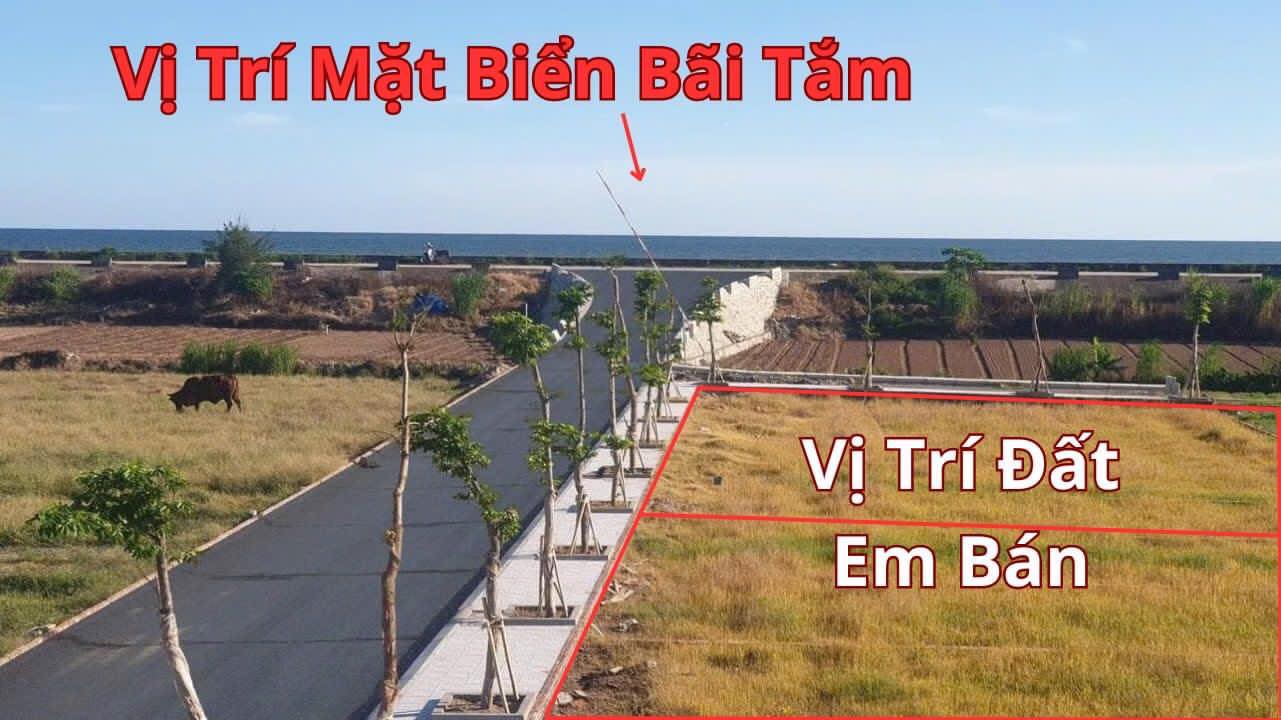 Chỉ Hơn 1 Tỷ Có Ngay Lô Đất Ven Biển Quất Lâm, Cạnh Công Viên Flamingo, Cạnh Kcn Vsip, Sẵn Sổ Đỏ,