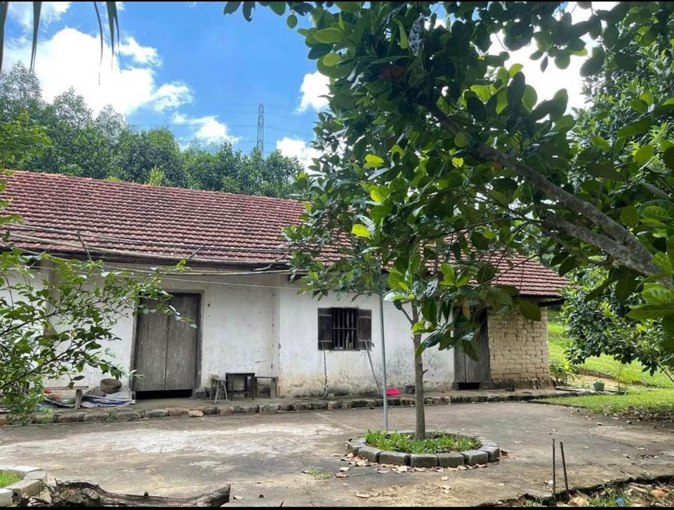 Bán mảnh trang trại tại Sơn Dương - Hoành Bồ, Quảng Ninh