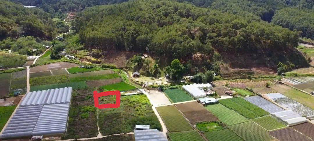 Bán đất Mimosa Đà Lạt gần cà phê Kẻng chỉ 1ty3