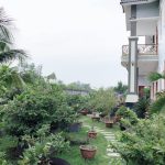  5000m2 - 6