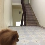  60m2 - 4