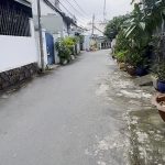  62m2 - 3