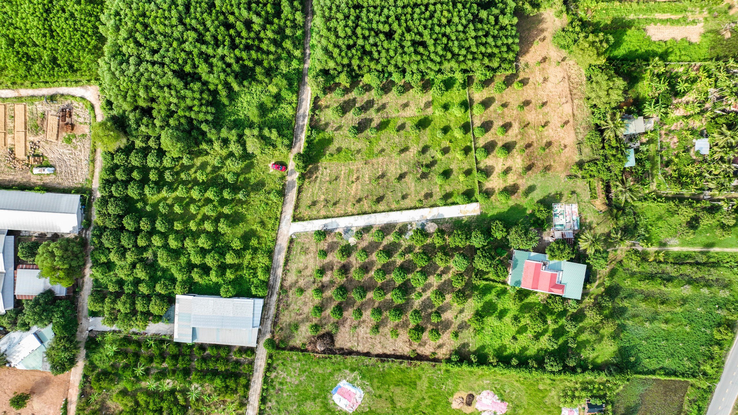 Cơ Hội Đầu Tư Đất Tại Suối Tiên, Diên Khánh - Sổ Đỏ Từng Lô-LH 0906 359 868