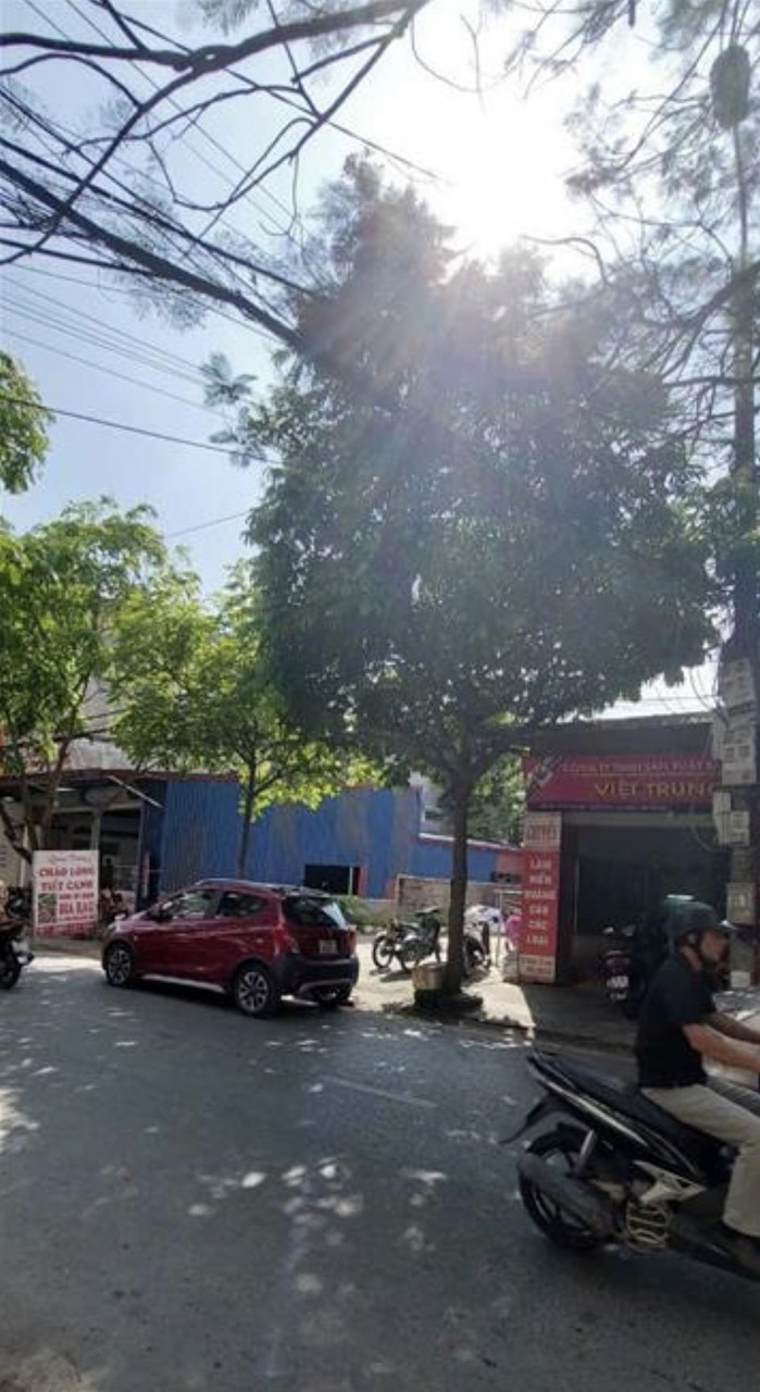 Bán nhanh 2 lô đất mặt đường Trực Cát siêu hiếm giá tốt nhất thị trường