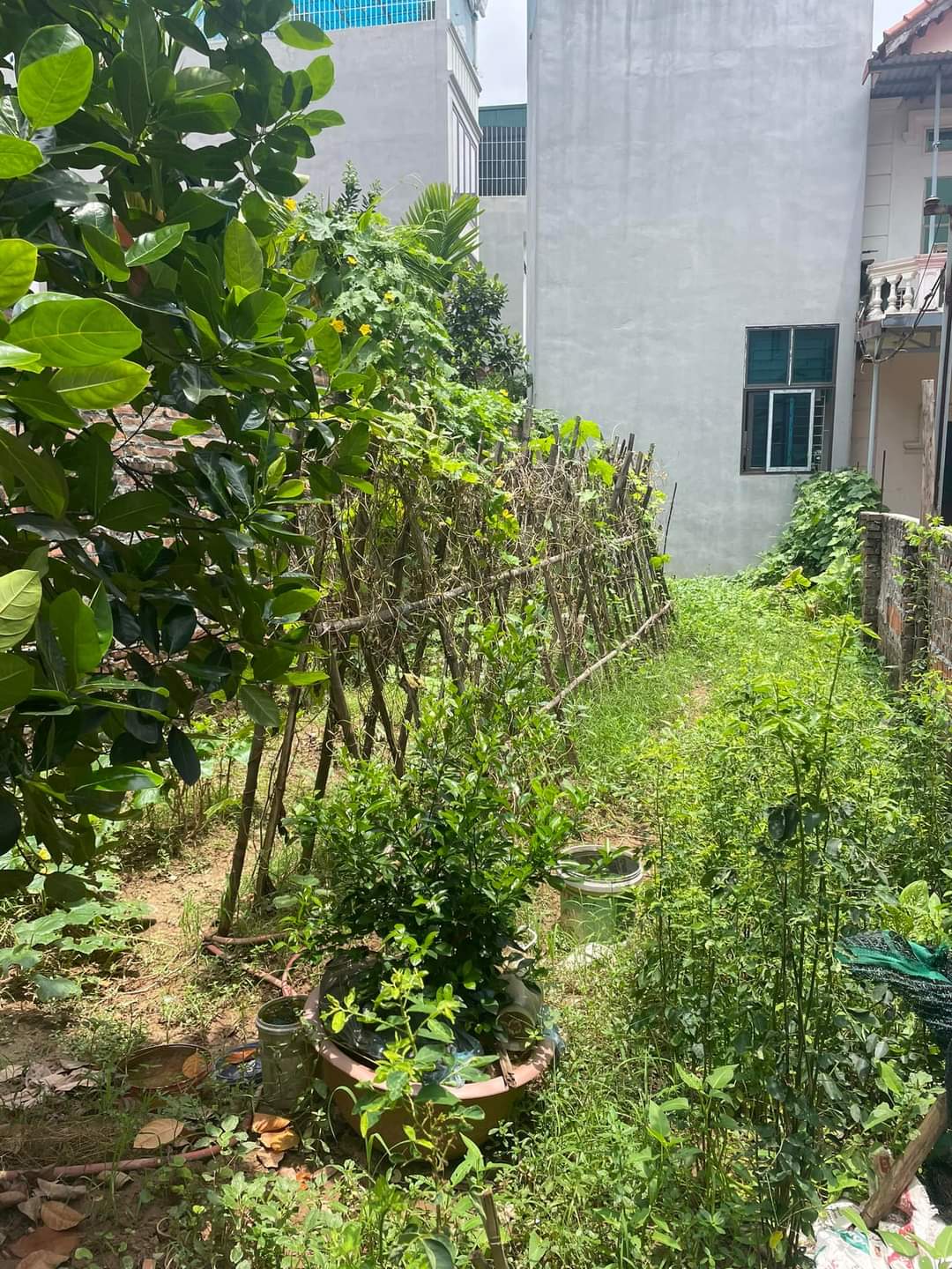 VÂN CANH - LÔ GÓC - ĐẦU TƯ - PHÂN LÔ - CC CHO THUÊ - ĐỀU TỐT. 68m Đường Vân Canh, Hoài Đức, nhỉnh 3 tỷ xíu