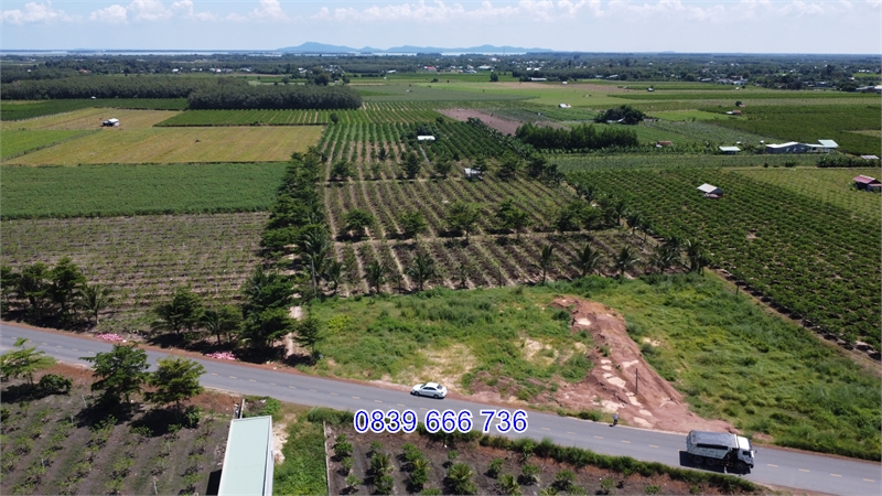 Đất Ngộp Siêu Rẻ: Cơ Hội Đầu Tư Kinh Doanh Lớn