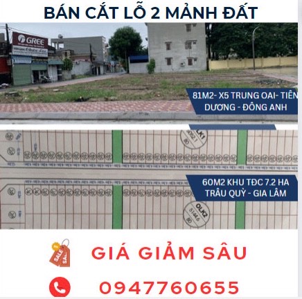 GIA ĐÌNH BÁN CẮT LỖ 2 MẢNH ĐẤT TẠI TIÊN DƯƠNG ĐÔNG ANH VÀ TRÂU QUỲ GIA LÂM