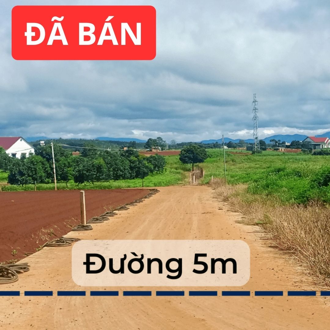 Đất Sào Gần Sân Bay Liên Khương – DT: 45 x 20,6 (896,9 m2) – Quy Hoạch Full Thổ Cư – Đường bê tông 7m..