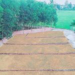  241m2 - 4