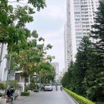  170m2 - 1
