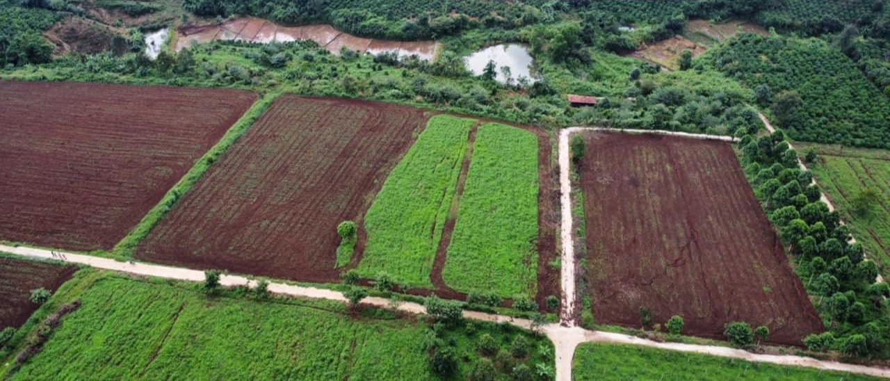 Đất vườn 1000m Đường ô tô giá 260tr sổ hồng - Gia lai