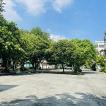  100m2 - 5
