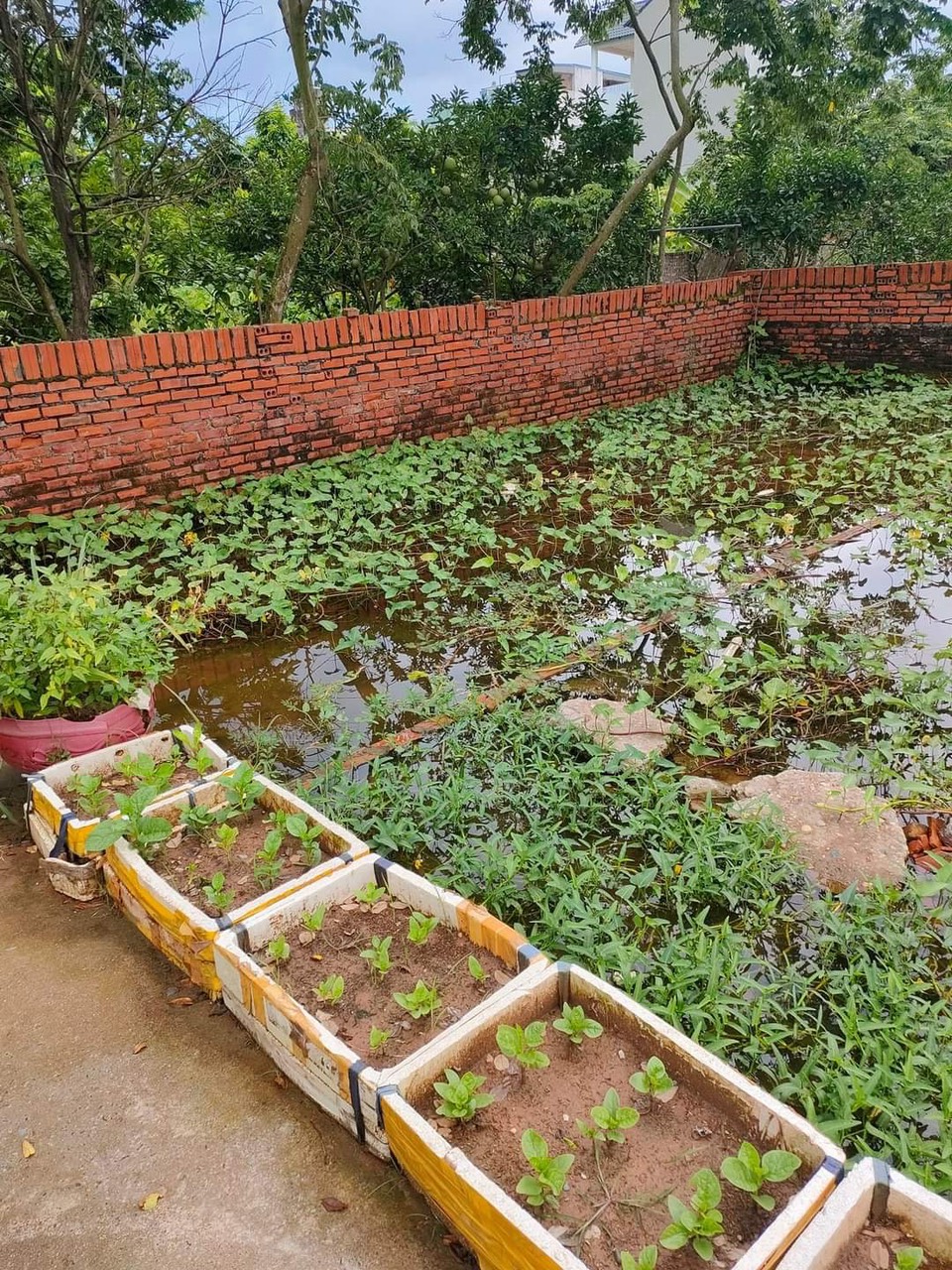 42m Kim Sơn Gia Lâm, giá 1,1 tỷ , ngõ thoáng sạch sẽ,