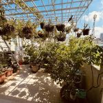  60m2 - 6