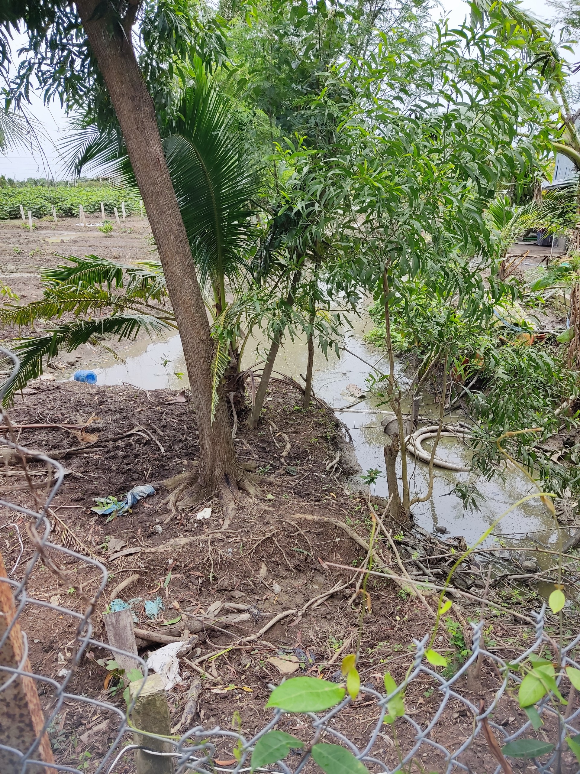 Đất bán 1300m2 ấp Vĩnh Bình, xã Vĩnh Công, Huyện Châu Thành, Tỉnh Long An