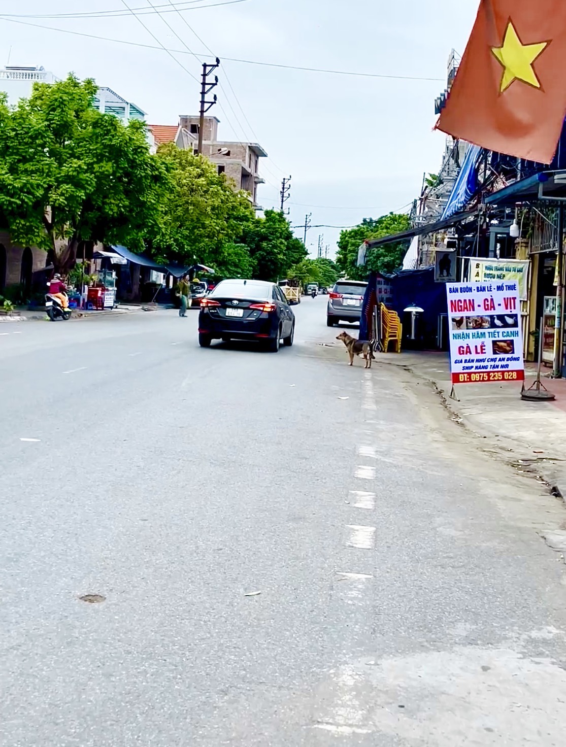 Siêu phẩm bán đất tặng nhà cấp 4 Trang Quan, An Đồng, An Dương, Hải Phòng 95m2-1,7 tỷ