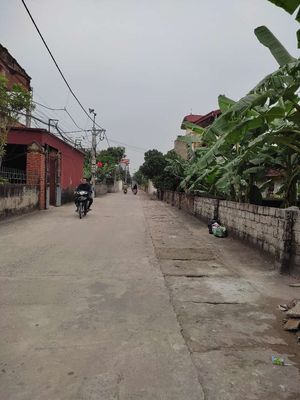 Bán 42m2 đất Hồng Vân, Thường Tín tặng nhà cấp 4 nhỉnh 1 tỷ.