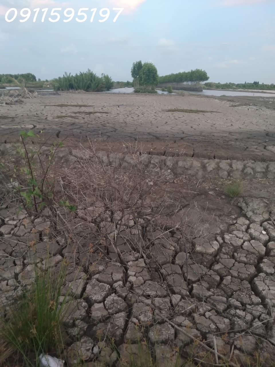 CHÍNH CHỦ BÁN GẤP LÔ ĐẤT Vị Trí Đẹp Tại Năm Căn, Cà Mau