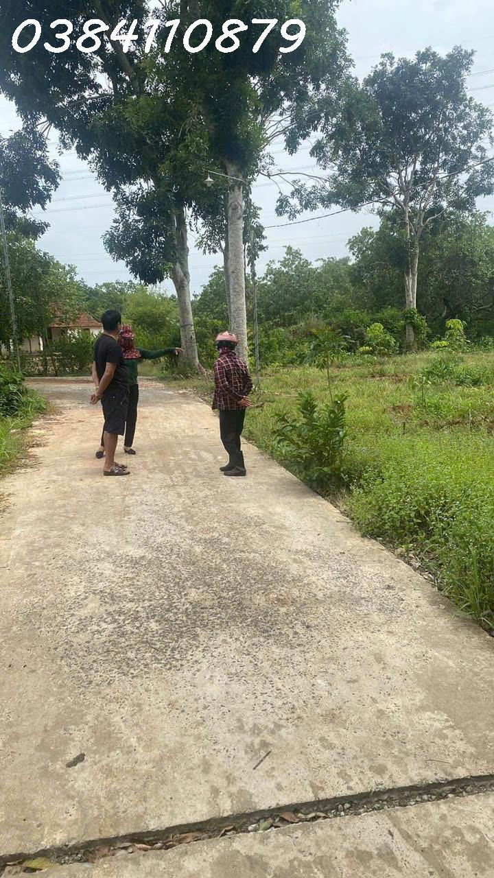 17M MẶT TIỀN BT - 1600M2, THỔ CƯ, THANH LƯƠNG, BÌNH LONG, BP