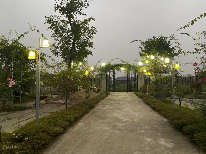 Bán 3000m2 đất Văn Bình Thường Tín, sát Quán Gánh sẵn nhà vườn siêu đẹp.