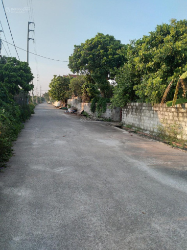 Cần tiền thu hồi vốn bán nhanh đất Duyên Hà, Thanh Trì.